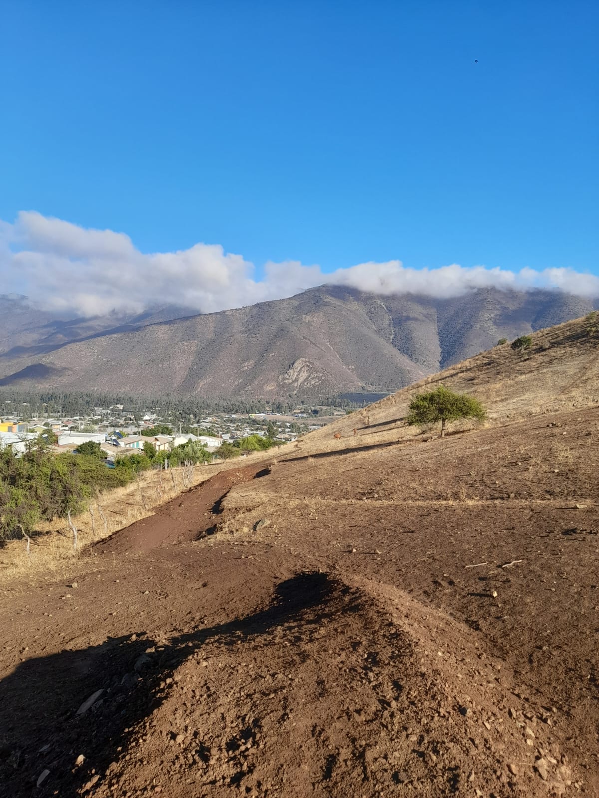 Parque Ecológico Wenke - Harnecker